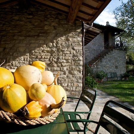 Brigolante Guest Apartments Assisi Bilik gambar